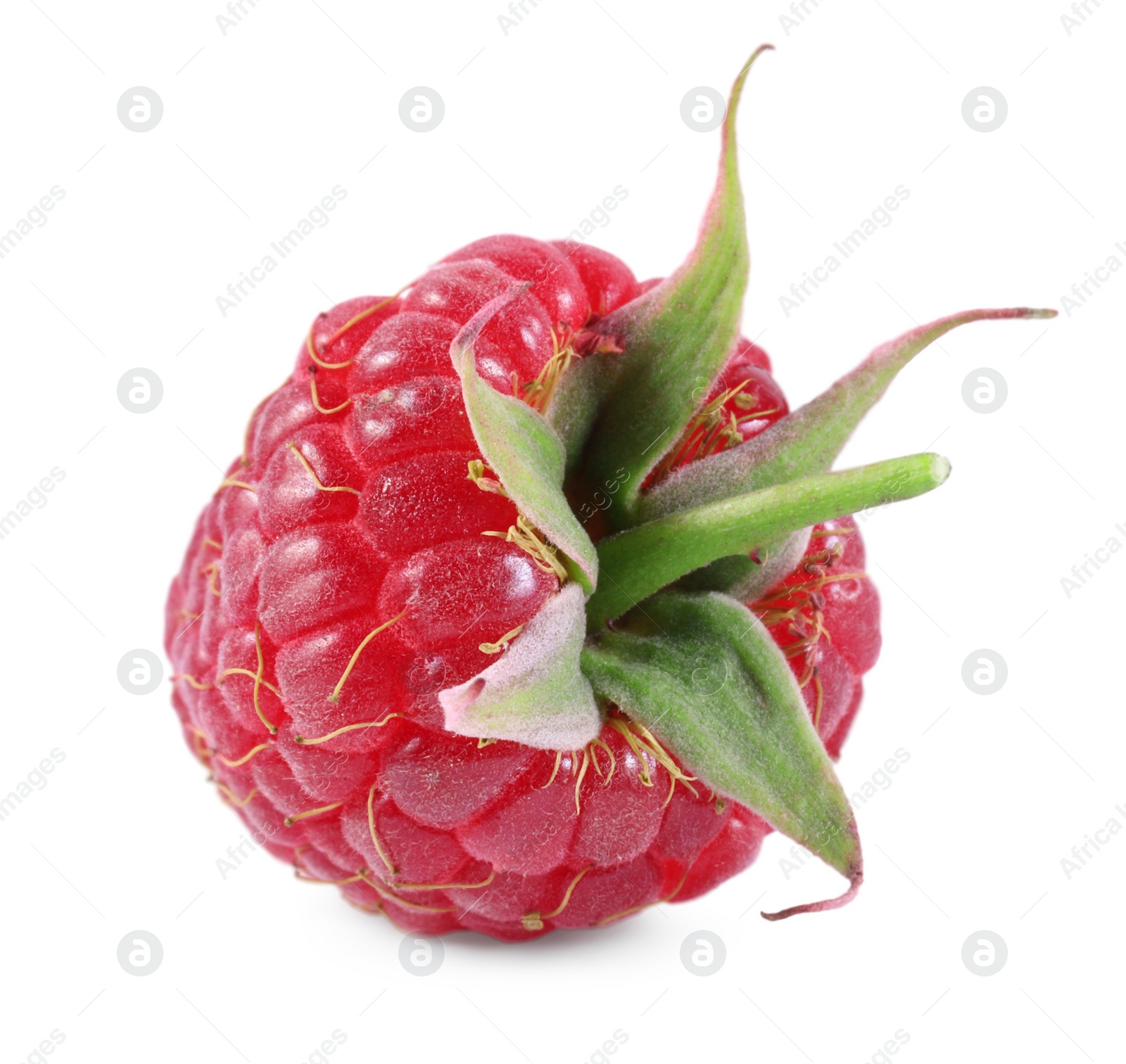 Photo of One tasty ripe raspberry isolated on white