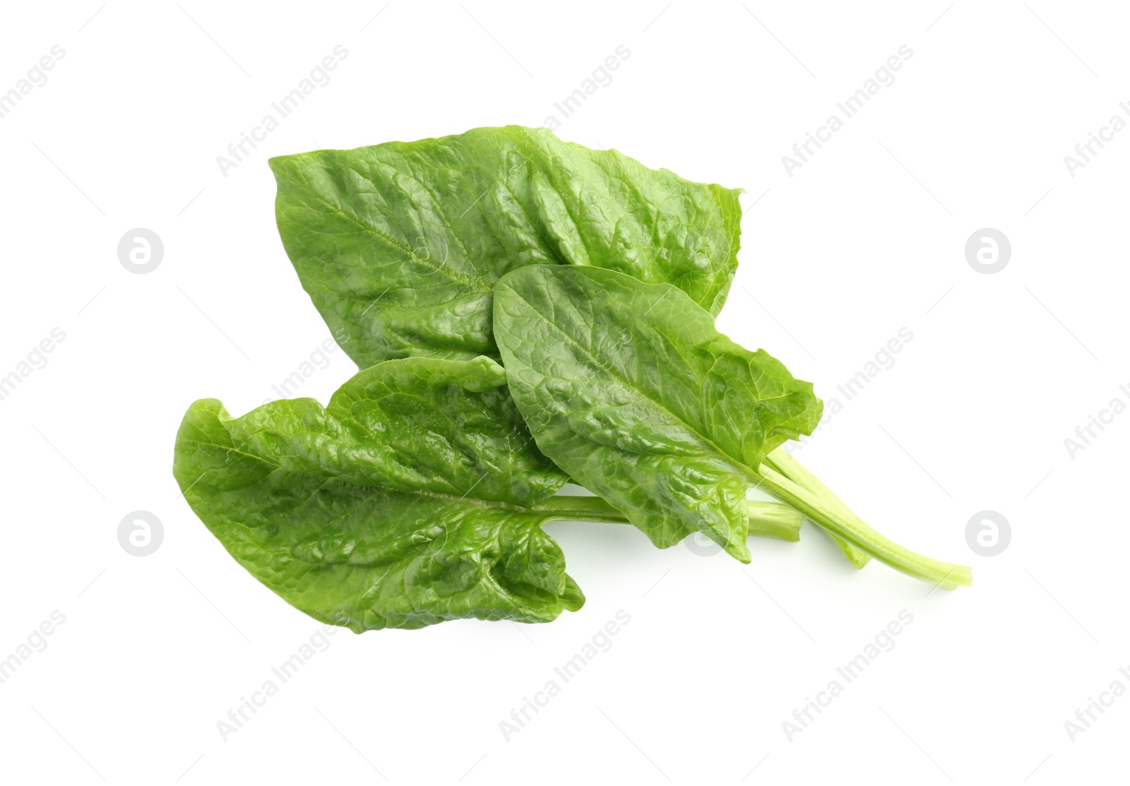 Photo of Fresh leaves of spinach isolated on white, top view