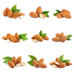 Image of Set with tasty almond nuts on white background 