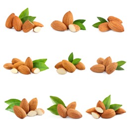 Set with tasty almond nuts on white background 