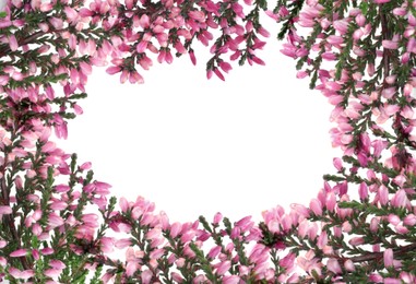 Image of Frame of heather branches with beautiful flowers on white background, top view. Space for text