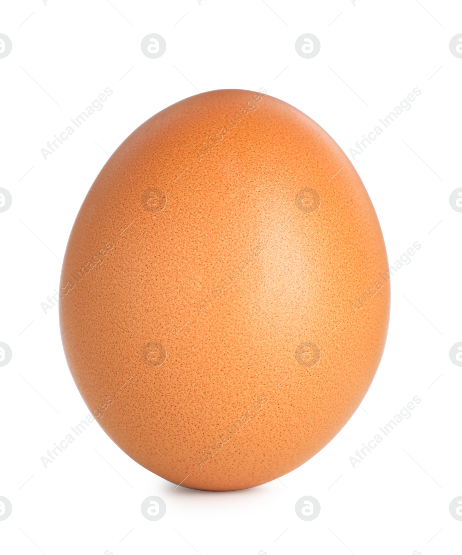 Photo of One raw chicken egg isolated on white