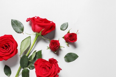 Photo of Beautiful red roses on light background, flat lay. Space for text