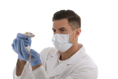 Photo of Scientist with rat on white background. Animal testing