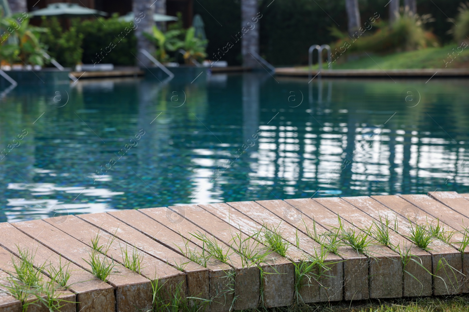 Photo of Outdoor swimming pool with wooden deck at resort