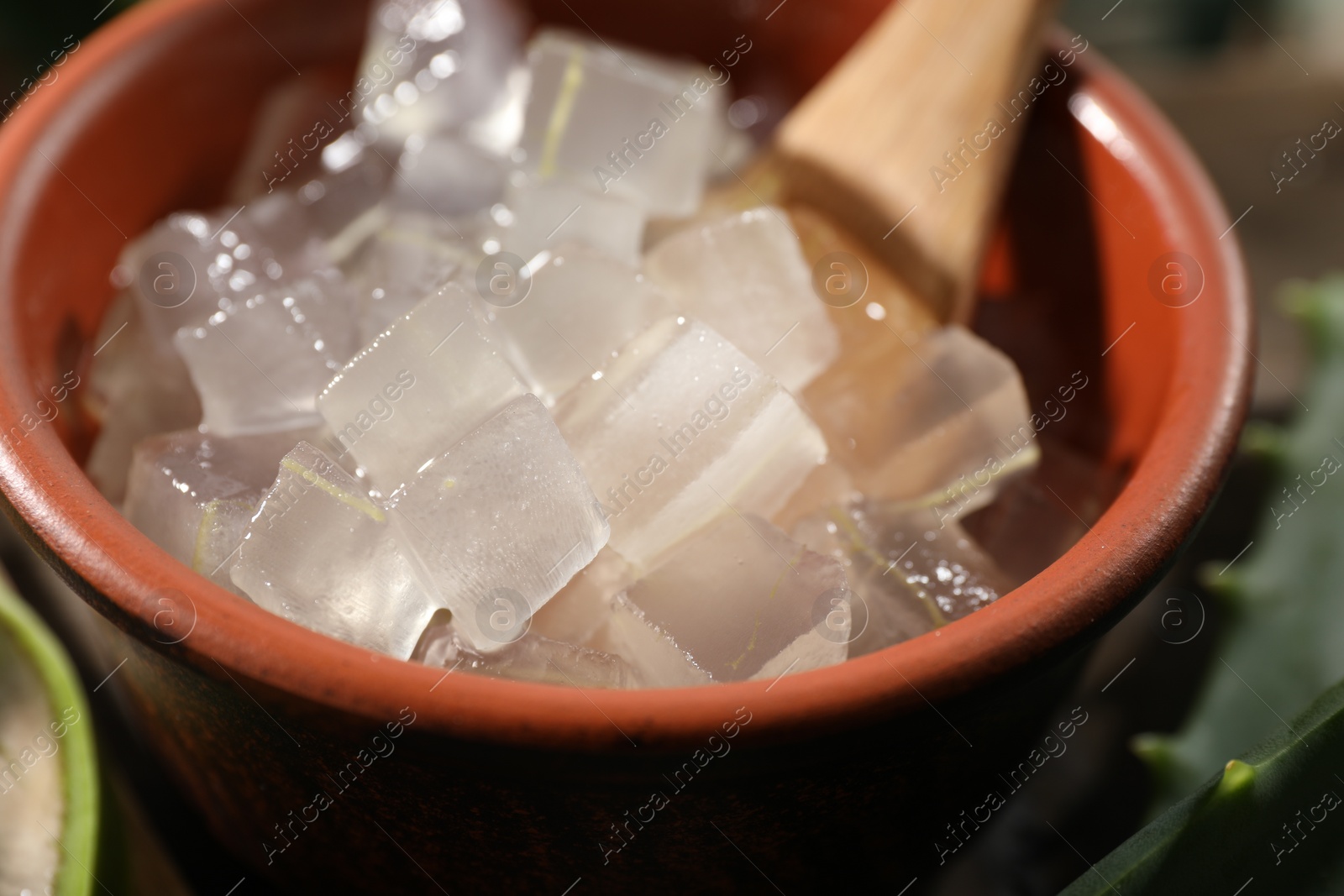 Photo of Aloe vera gel in bowl on blurred background, closeup