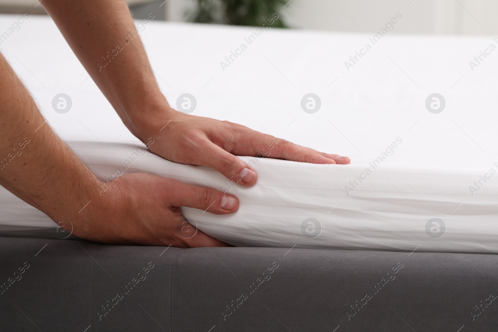 Photo of Man putting bed sheet on soft mattress, closeup