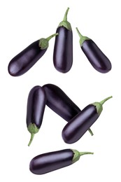 Image of Fresh whole eggplants falling on white background