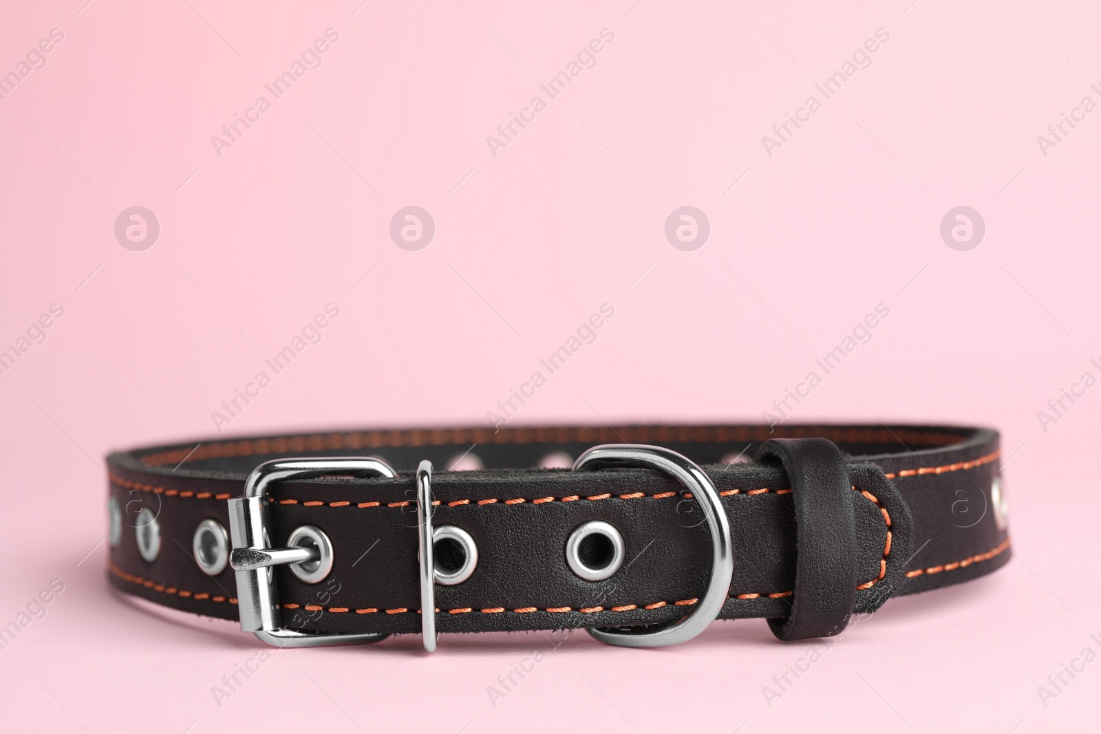 Photo of Black leather dog collar on pink background, closeup. Space for text