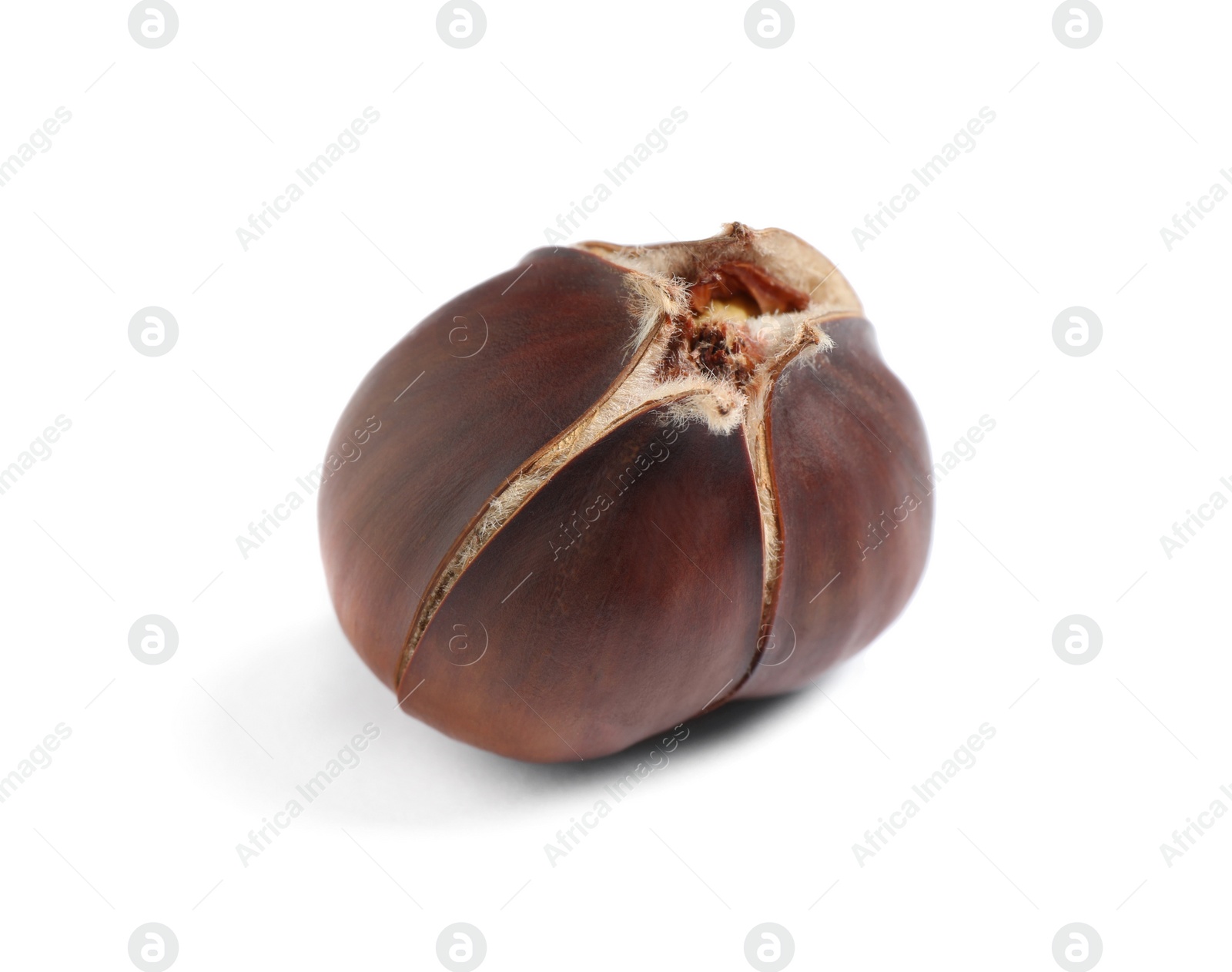 Photo of Delicious sweet roasted edible chestnut isolated on white