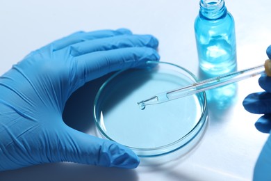 Photo of Scientist dripping liquid from pipette into petri dish at white table, closeup