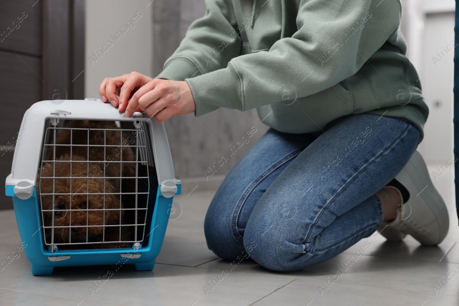 Photo of Woman closing carrier with her pet before travelling indoors, closeup