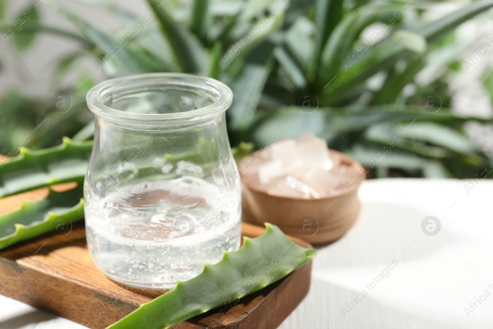Photo of Aloe vera gel in jar and slices of plant on white table, closeup. Space for text