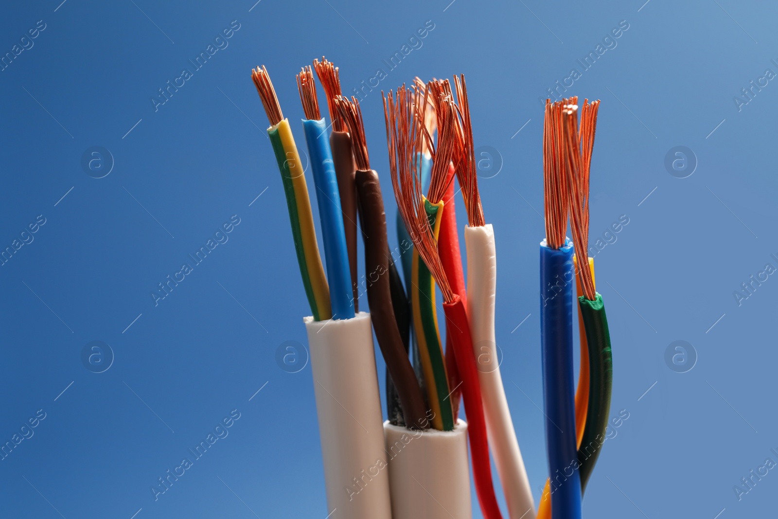Photo of Many stripped electrical cables on blue background, closeup