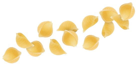 Raw conchiglie pasta flying on white background