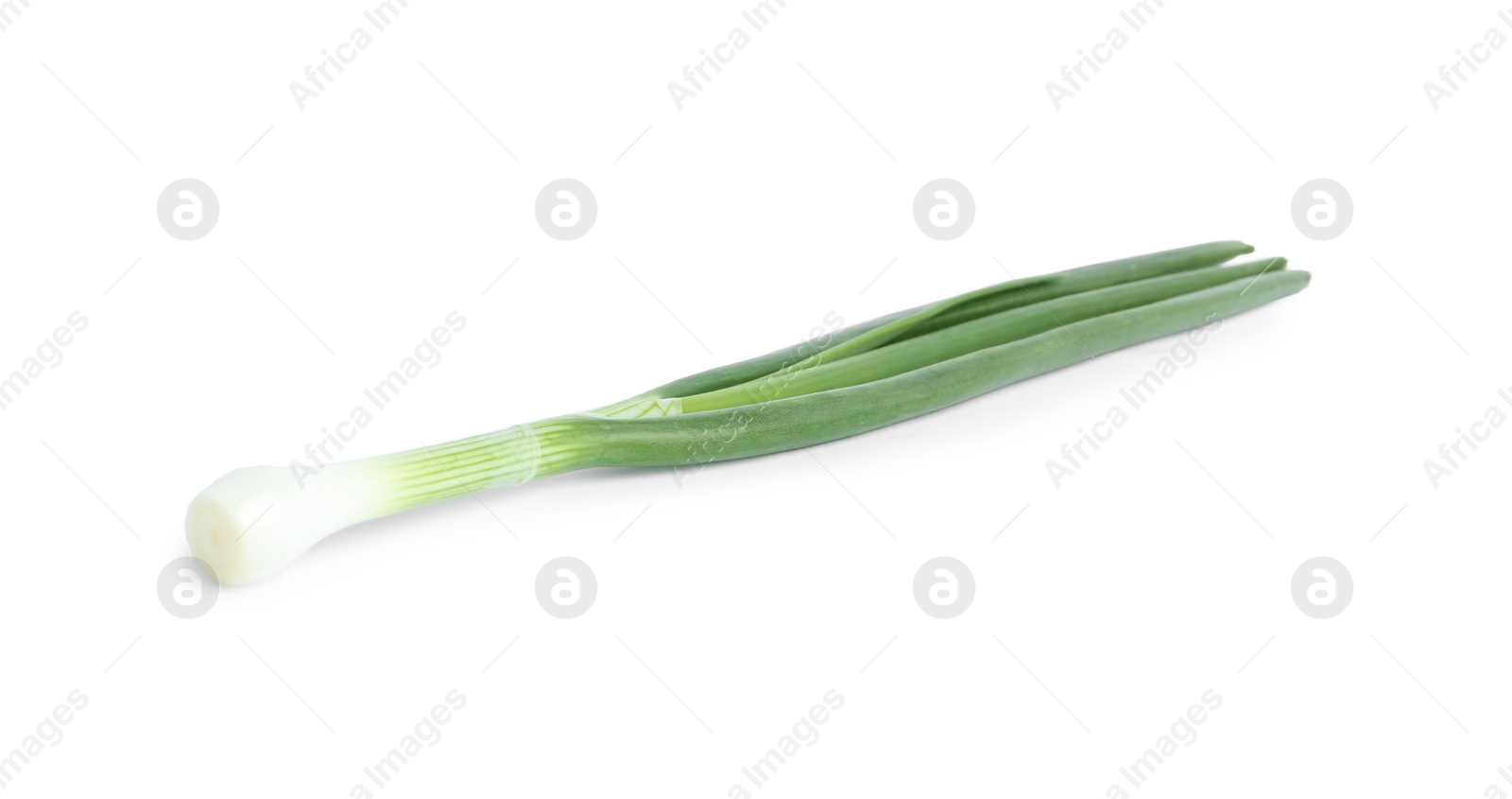 Photo of Fresh green spring onion isolated on white