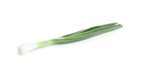 Photo of Fresh green spring onion isolated on white