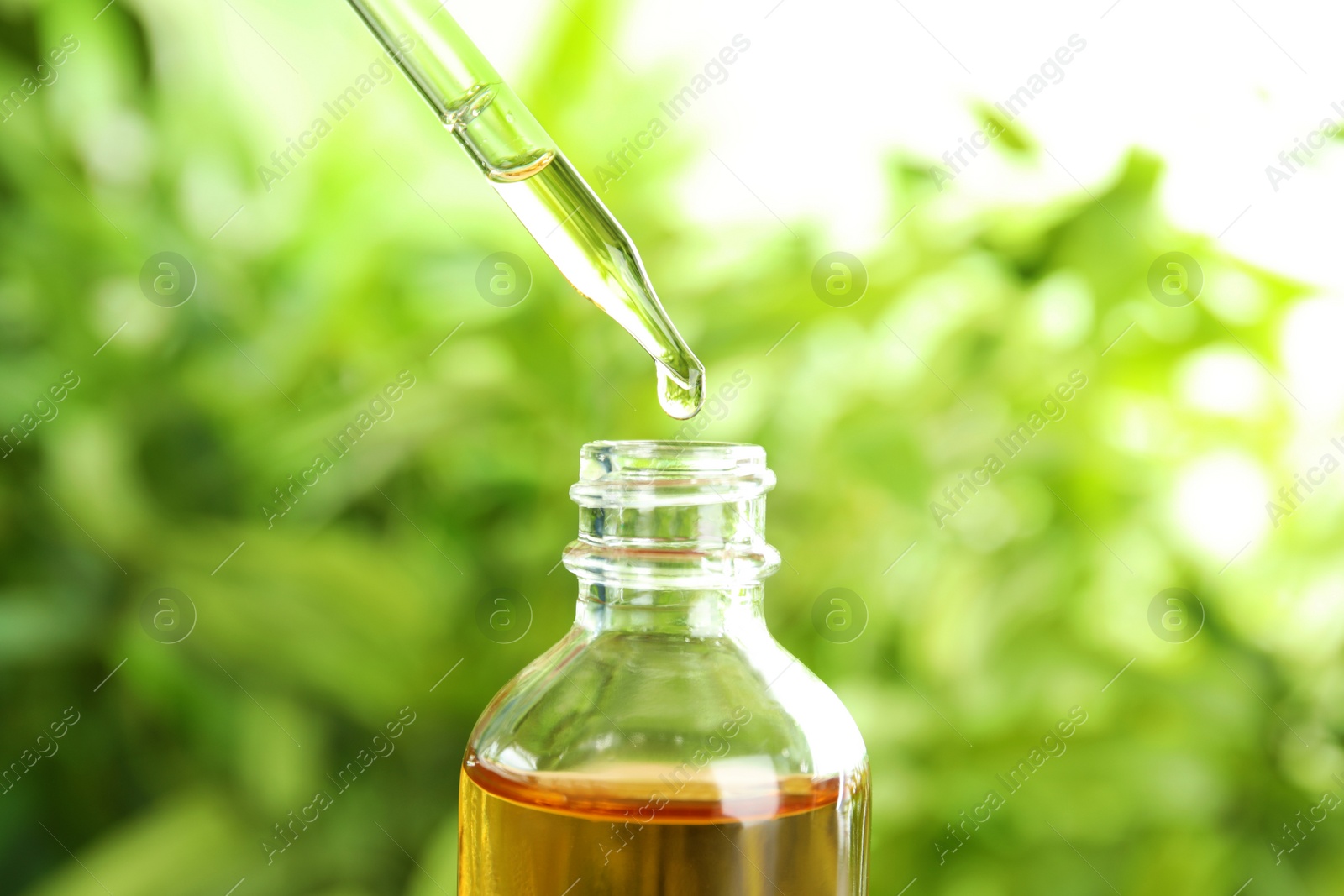 Photo of Essential oil dripping from pipette into glass bottle on blurred background, closeup