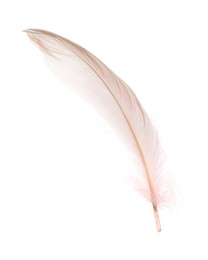 Photo of Fluffy beautiful beige feather isolated on white