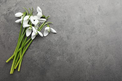 Beautiful snowdrops on grey table, flat lay. Space for text