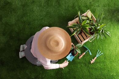Photo of Woman potting seedling on green grass, top view. Home gardening
