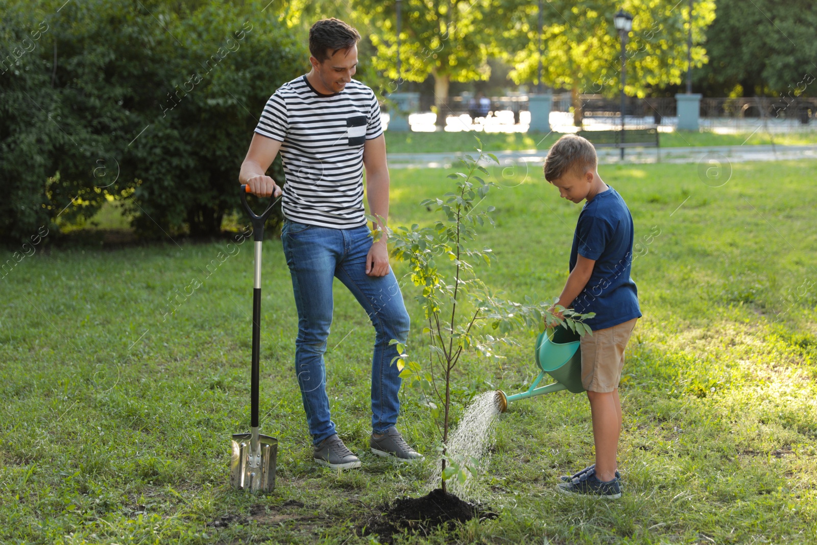 Photo of Dad and son watering tree in park on sunny day