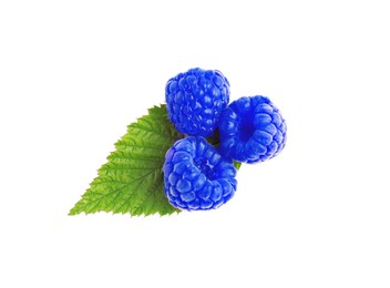 Fresh tasty blue raspberries isolated on white