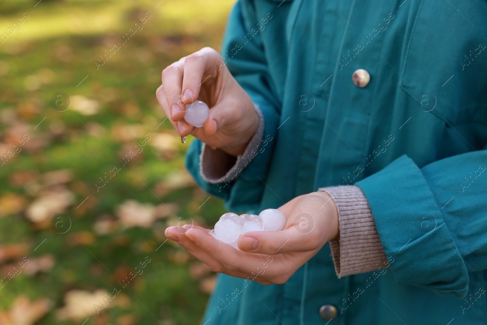 Photo of Woman holding hail grains after thunderstorm outdoors, closeup