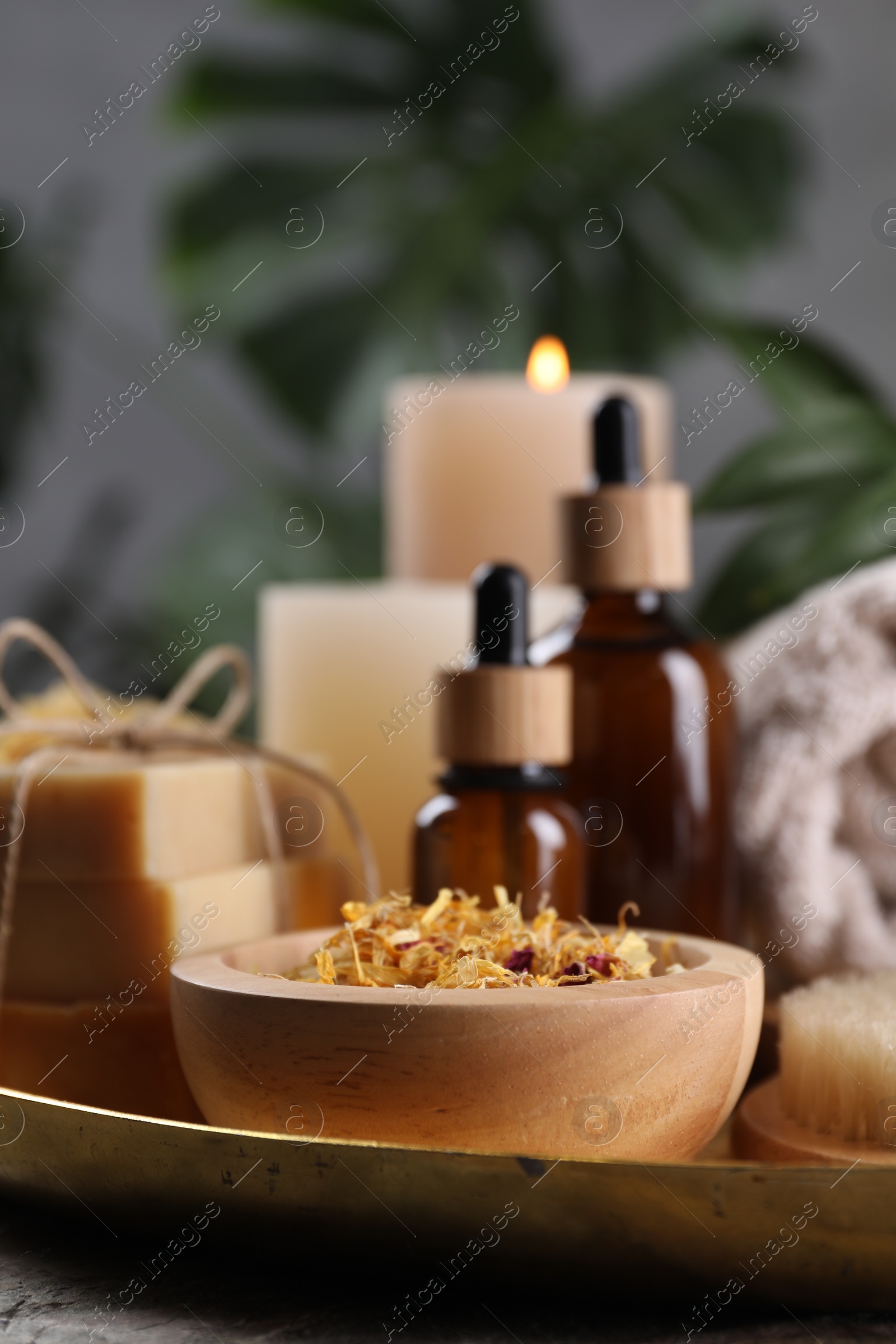 Photo of Spa composition. Dry flowers, bottles and soap bars on table, closeup