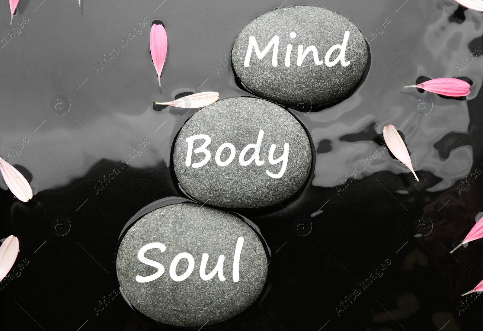 Photo of Spa stones with words Mind, Body, Soul and pink flower petals in water, flat lay. Zen lifestyle