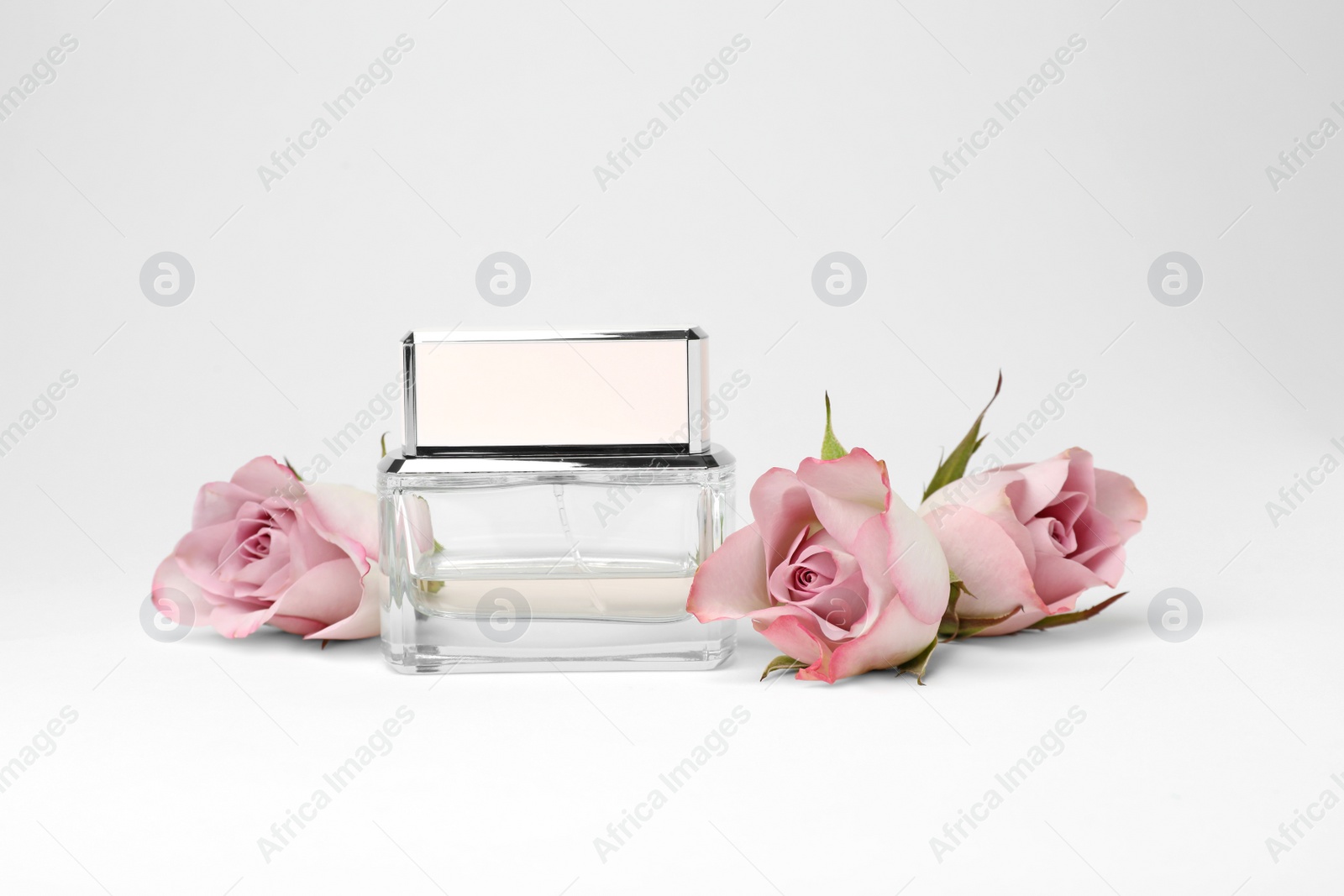 Photo of Transparent bottle of perfume with beautiful roses on white background