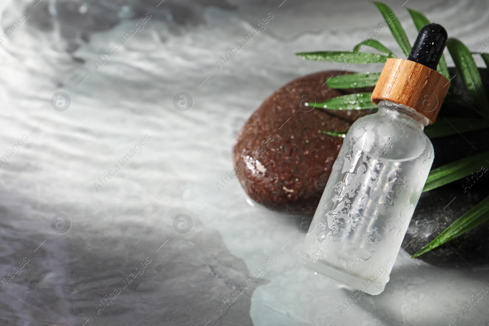 Photo of Bottle of face serum, spa stones and leaf on wet grey marble table, closeup. Space for text