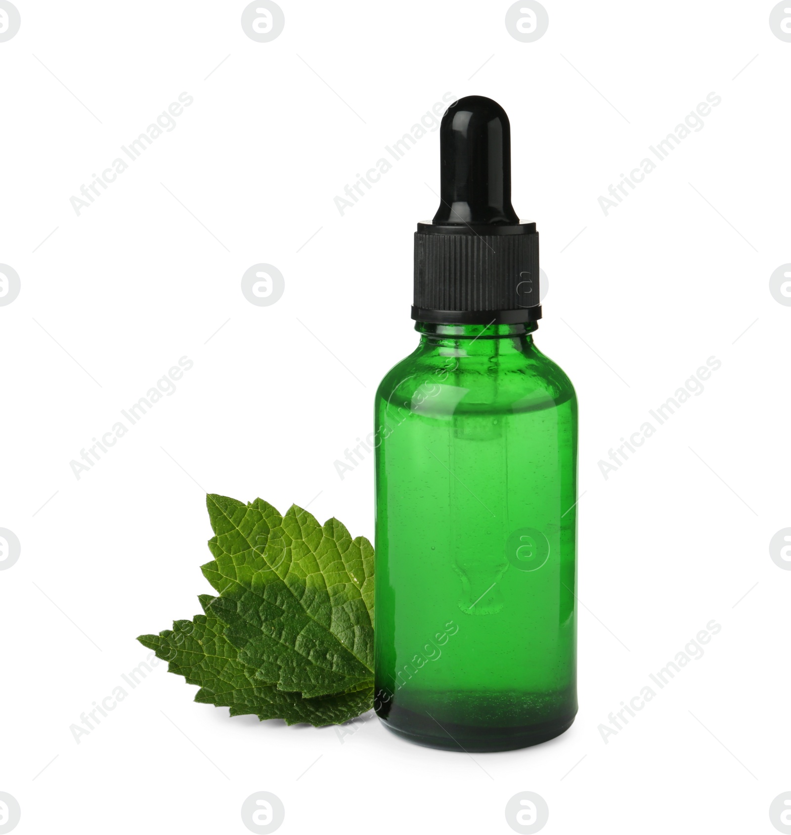 Photo of Glass bottle of nettle oil with dropper and leaves isolated on white