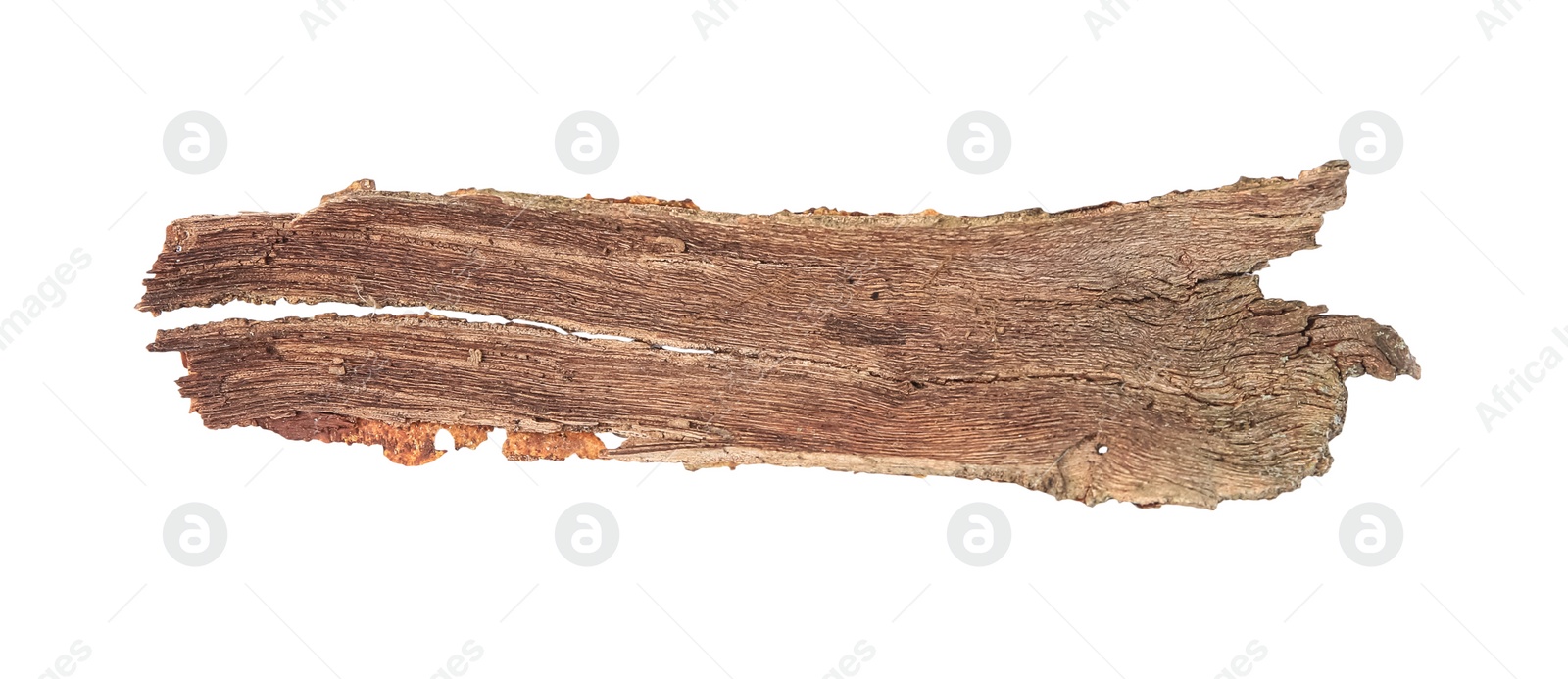 Photo of Tree bark piece isolated on white, top view