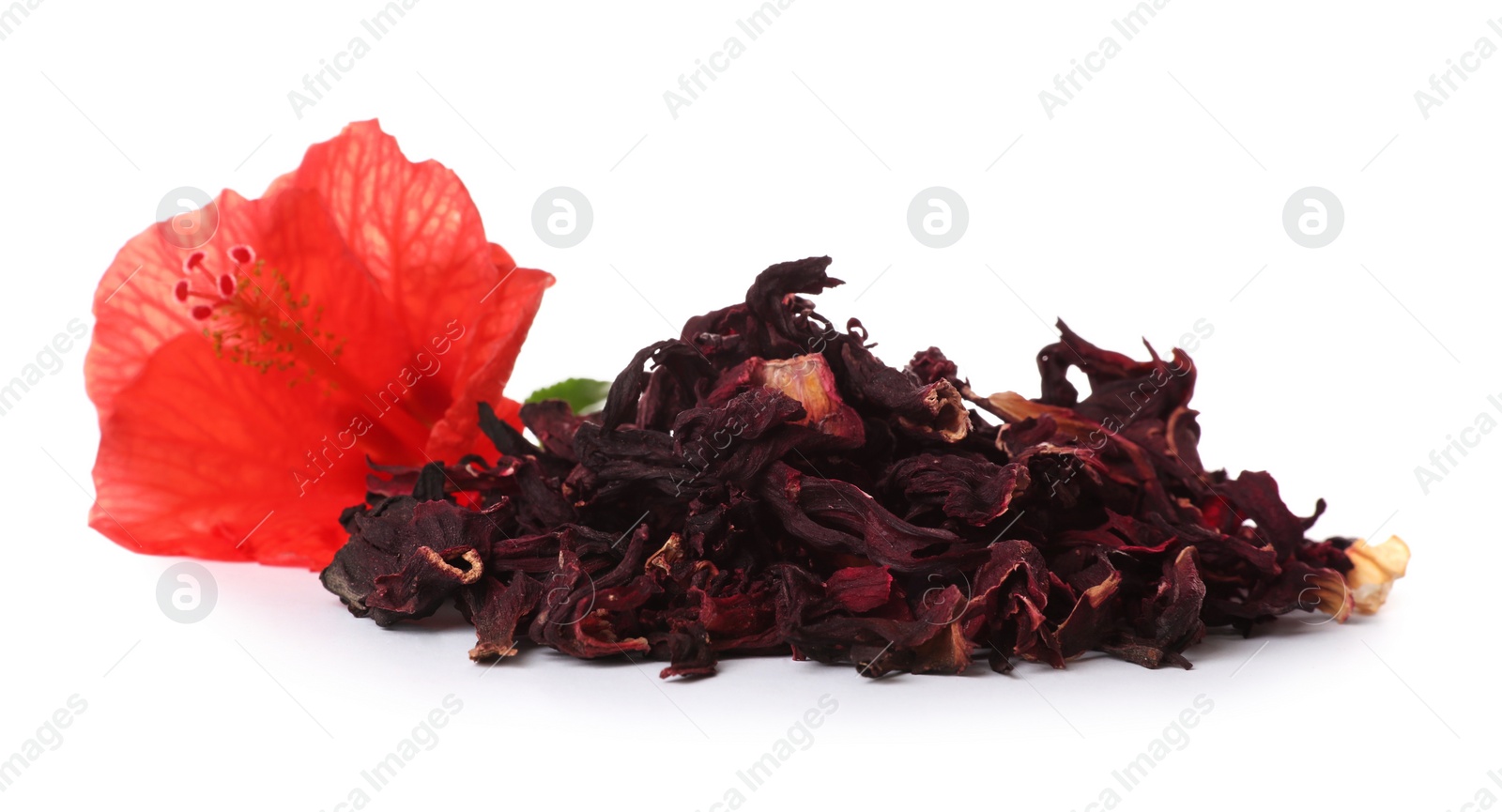 Photo of Dry hibiscus tea and beautiful flower on white background