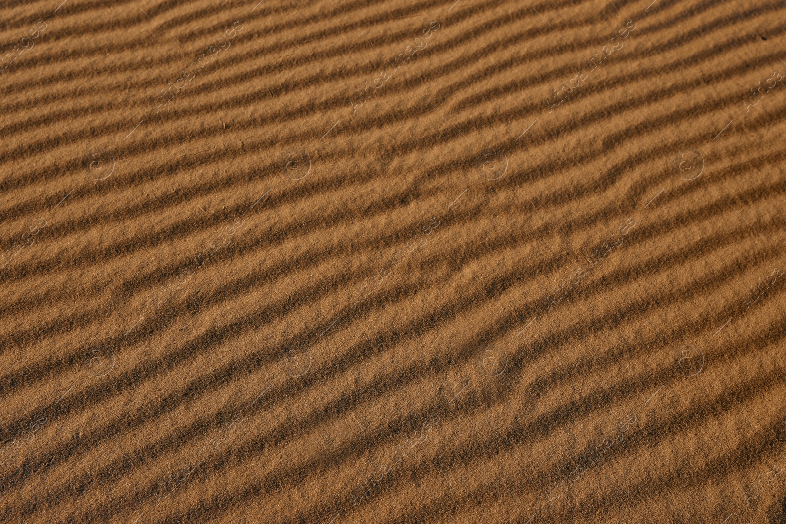 Photo of Closeup view of sand dune in desert as background