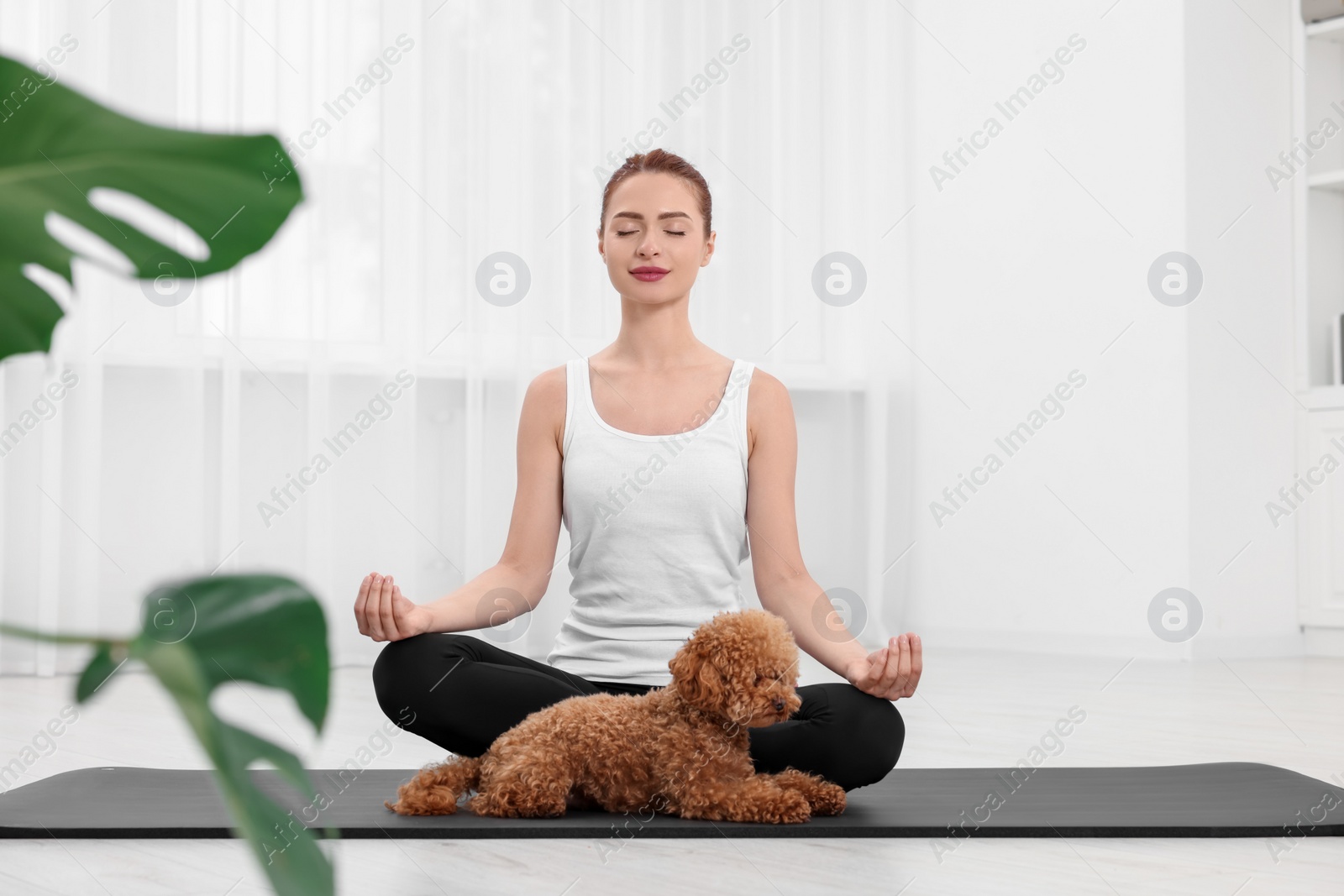 Photo of Young woman practicing yoga on mat with her cute dog indoors
