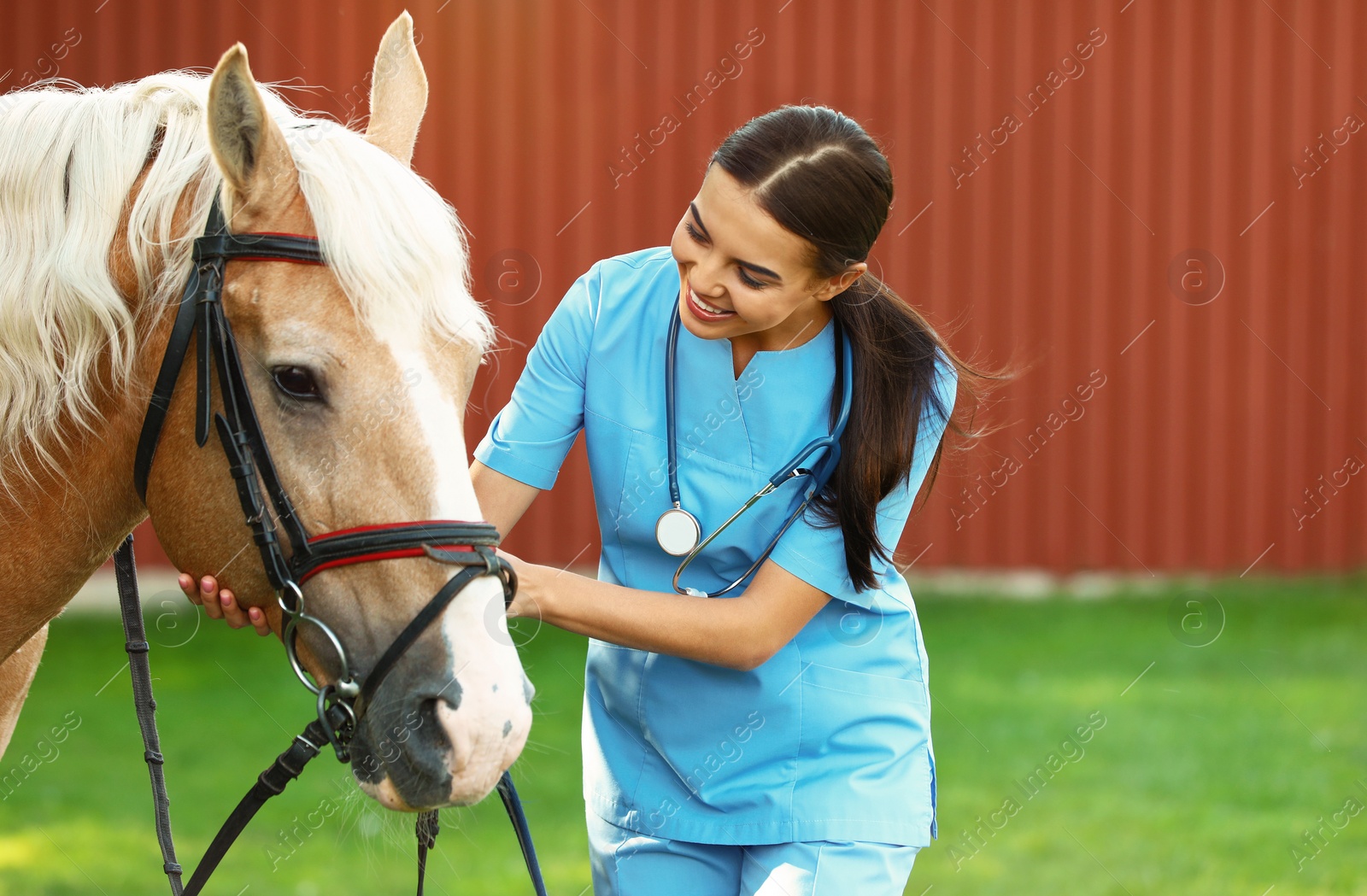 Photo of Young veterinarian with palomino horse outdoors on sunny day