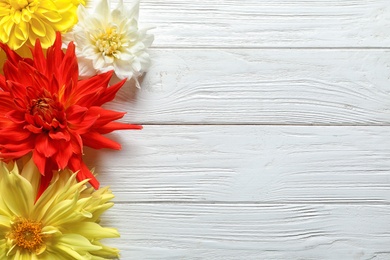 Flat lay composition with beautiful dahlia flowers and space for text on wooden background