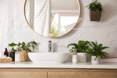 Beautiful green ferns and toiletries in bathroom