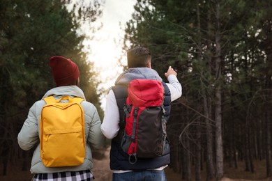 Couple with backpacks walking in forest, back view