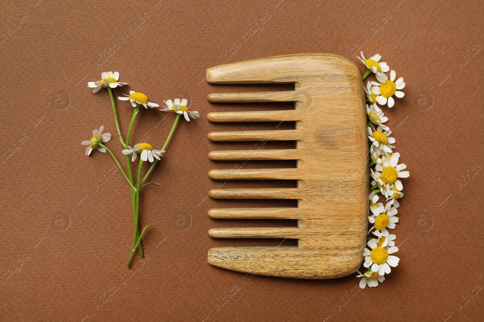 Photo of Wooden comb and beautiful chamomile flowers on brown background, flat lay 