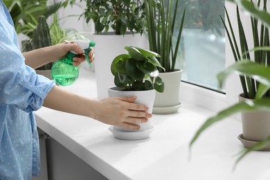 Woman spraying beautiful houseplant with water on windowsill indoors, closeup