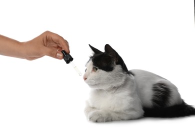 Photo of Woman giving tincture to cat on white background, closeup