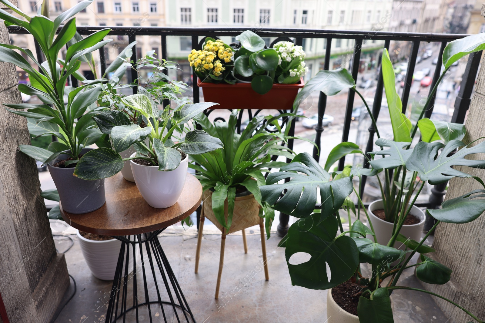 Photo of Many different beautiful plants in pots on balcony