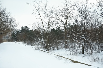 Beautiful view of park on snowy winter day