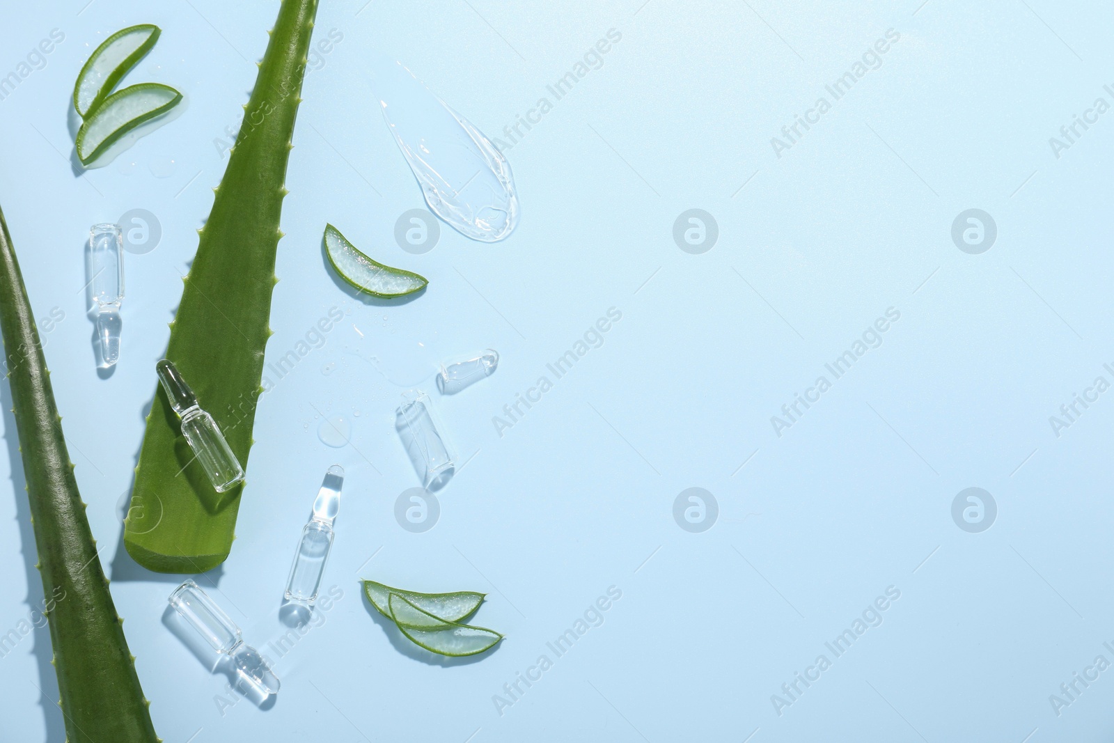 Photo of Flat lay composition with skincare ampoules and aloe leaves on light blue background. Space for text