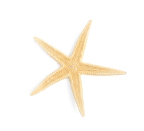 Photo of Beautiful starfish on white background, top view. Beach object