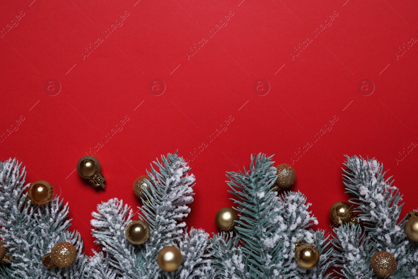 Photo of Christmas tree branches with golden baubles on red background, flat lay. Space for text