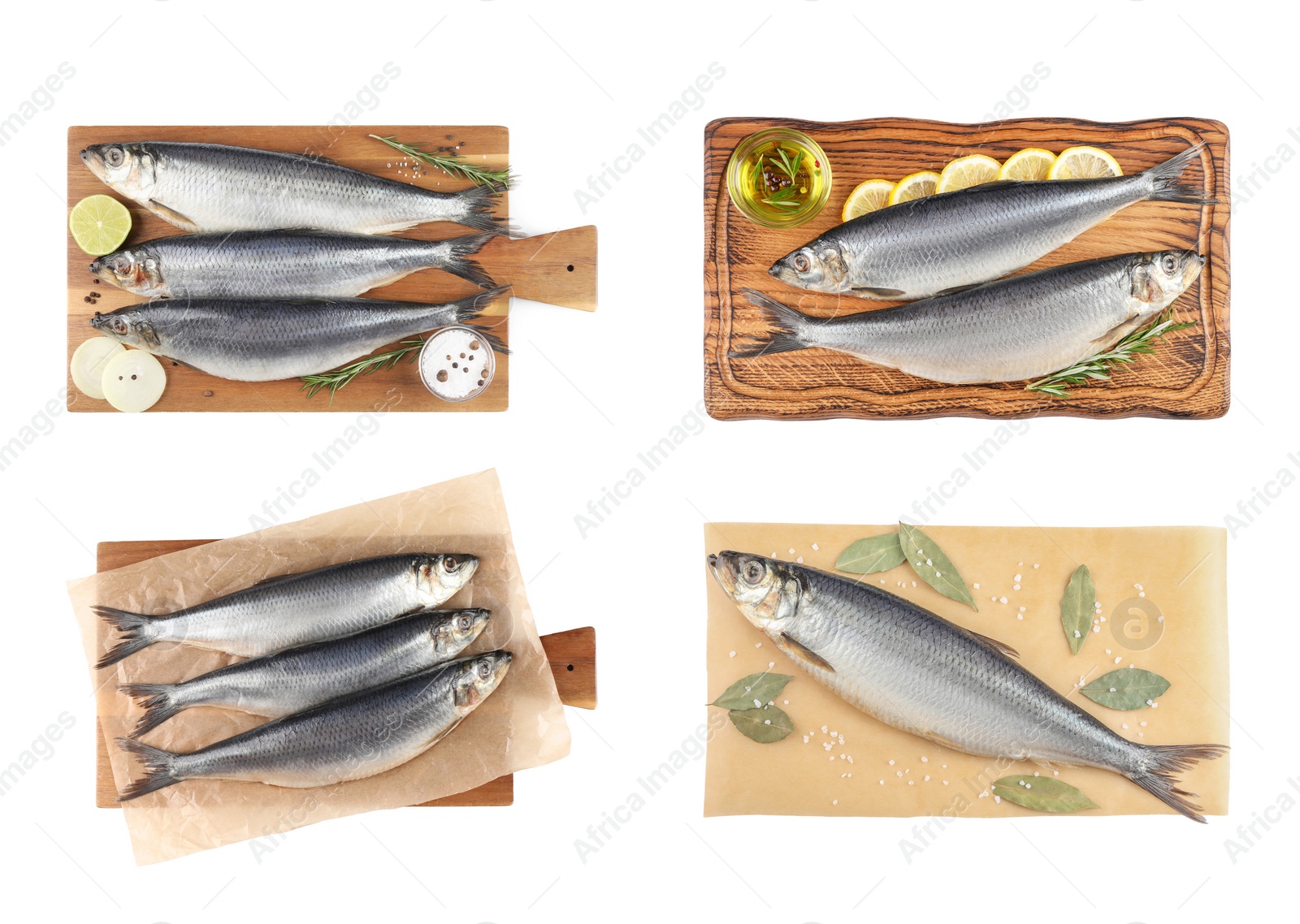 Image of Set with tasty salted herrings on white background, top view